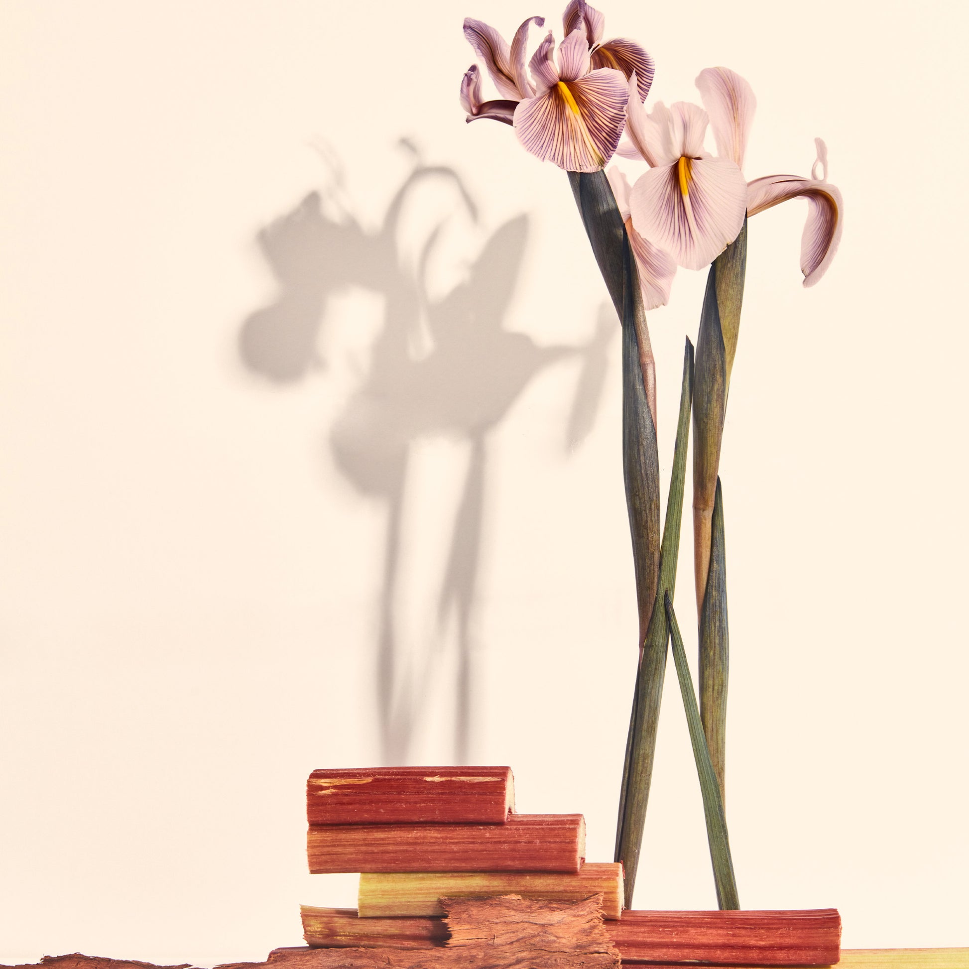 Alex Simone Encore un Peu - Parfums Raffy