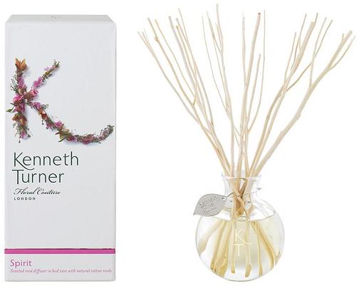 Kenneth Turner Reed Diffuser - Spirit - Parfums Raffy
