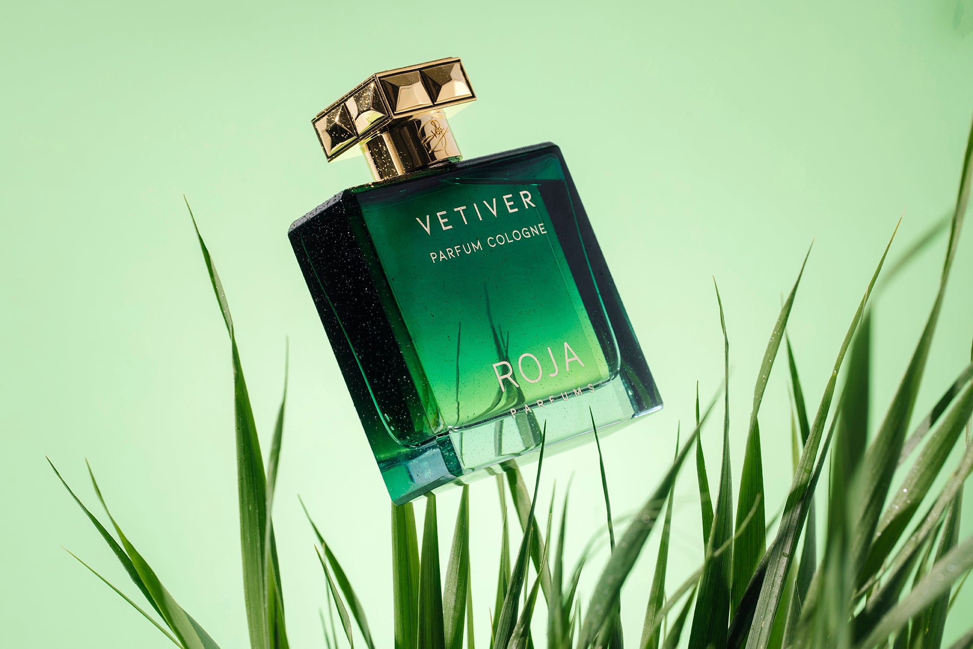 ROJA Vetiver Parfum Cologne - Parfums Raffy