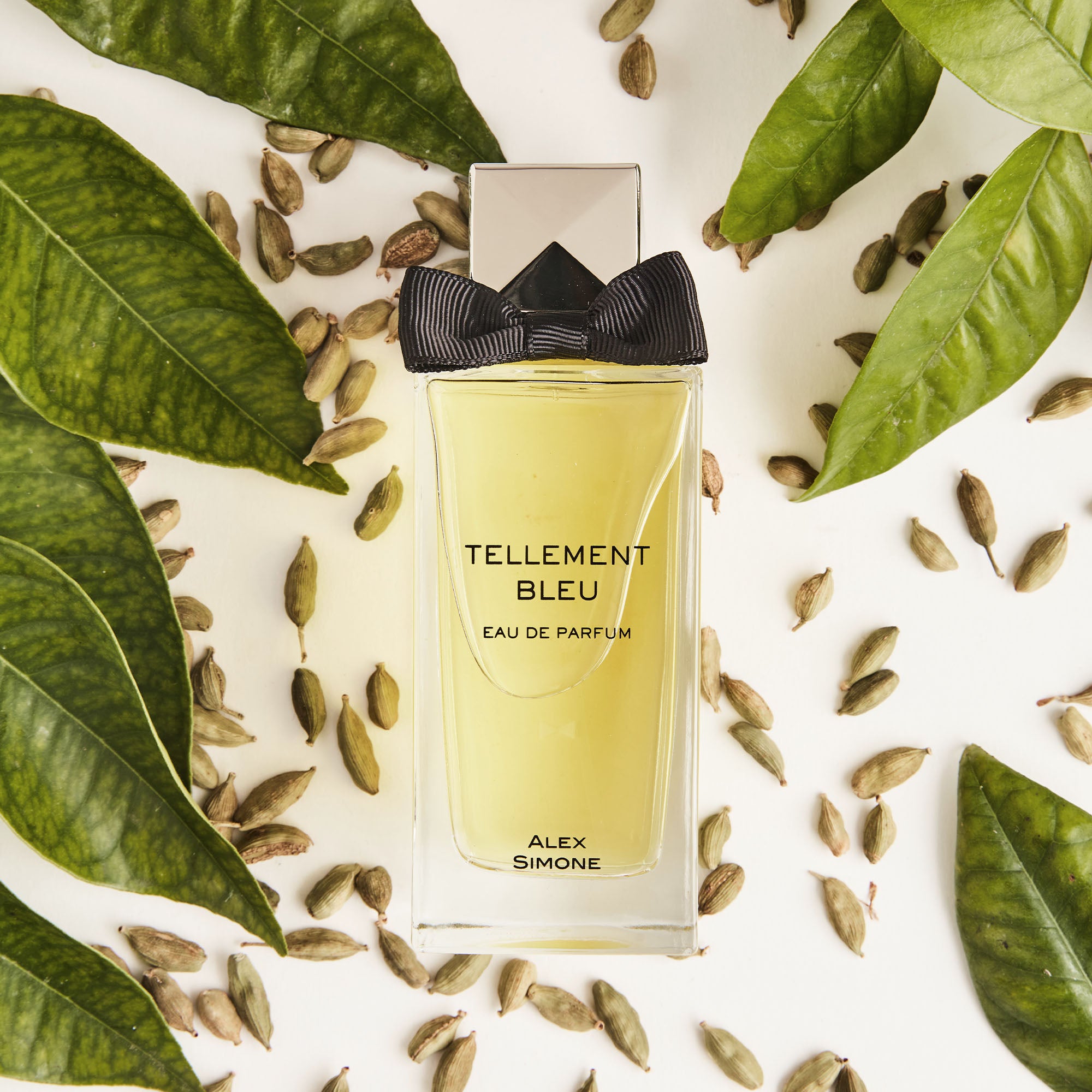 Alex Simone Tellement Bleu - Parfums Raffy
