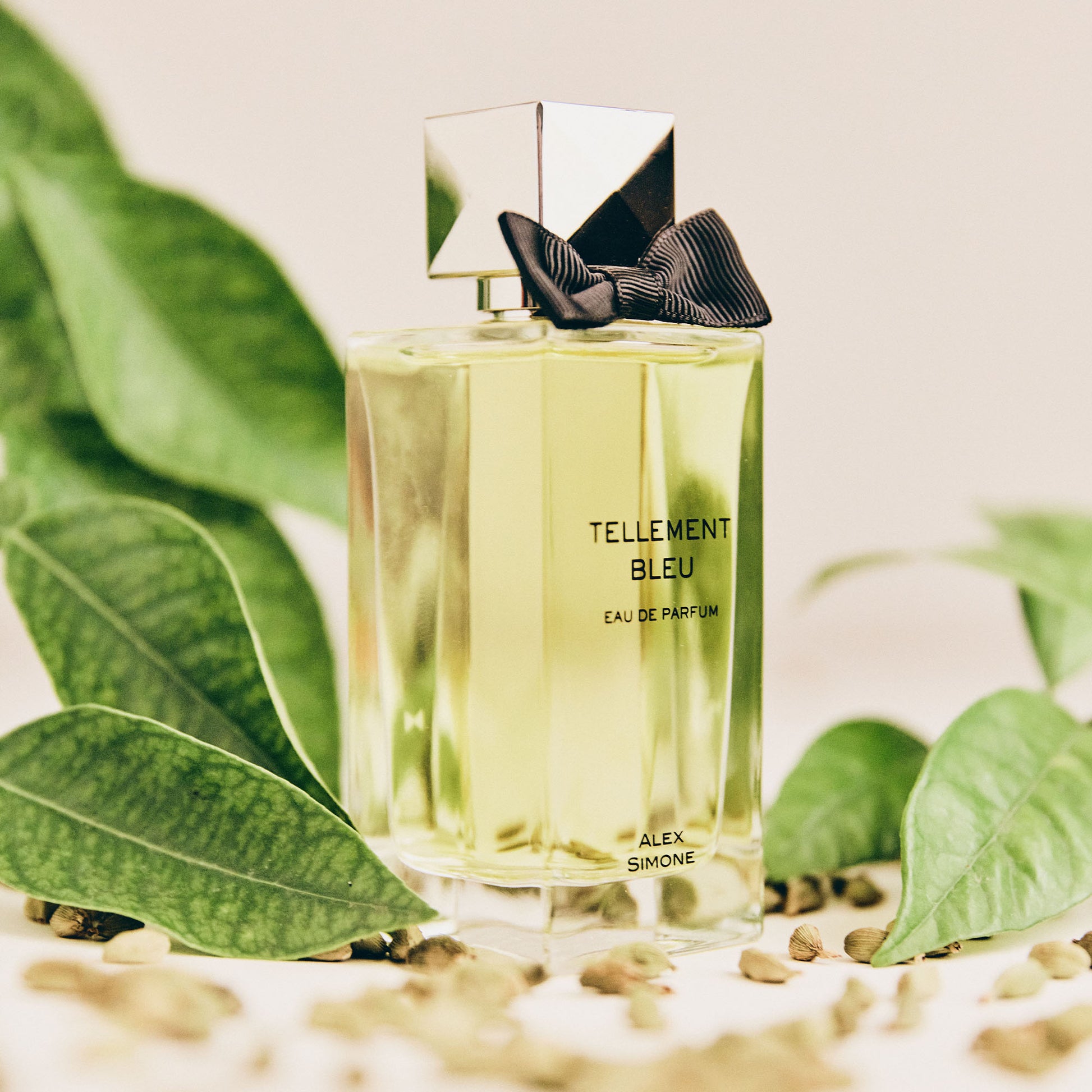 Alex Simone Tellement Bleu - Parfums Raffy