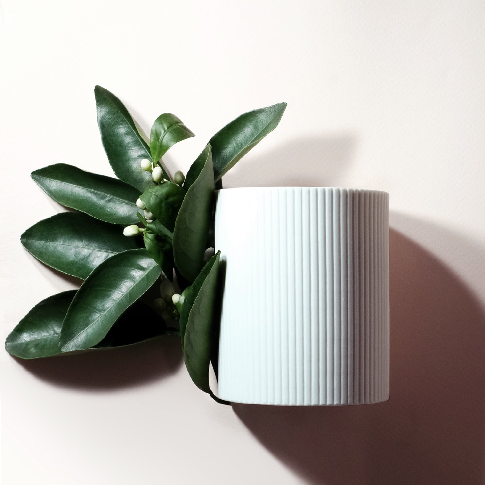 Alex Simone Petit Grain de Soleil Candle - Parfums Raffy